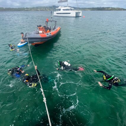 picture of people diving