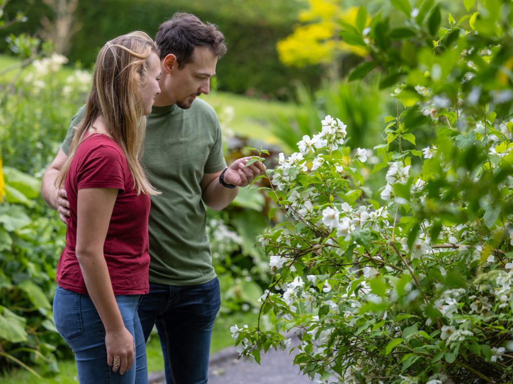 two people in a garden